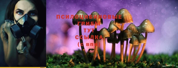 тгк Алзамай