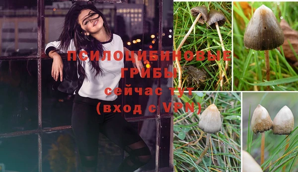 мяу мяу кристалл Алексин