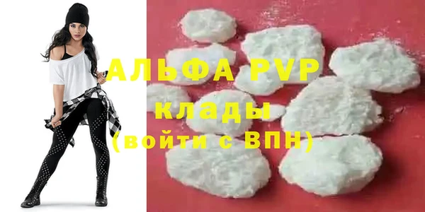 тгк Алзамай