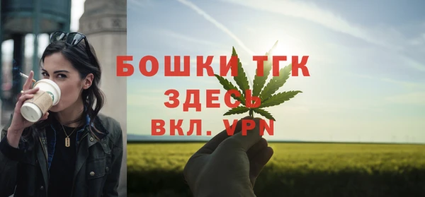 ешки Алексеевка