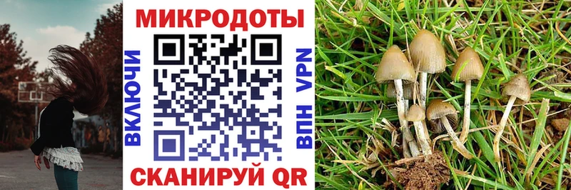 Псилоцибиновые грибы мухоморы  где купить наркоту  ОМГ ОМГ ONION  Димитровград 